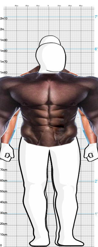 Full Size Comparison