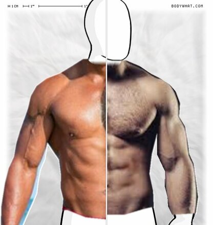 Torso Comparison