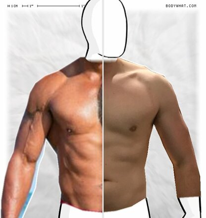 Torso Comparison