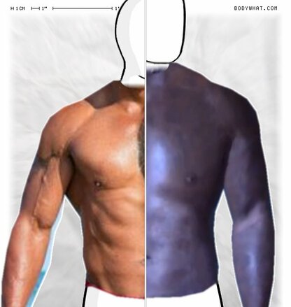 Torso Comparison