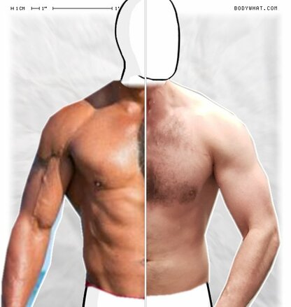 Torso Comparison