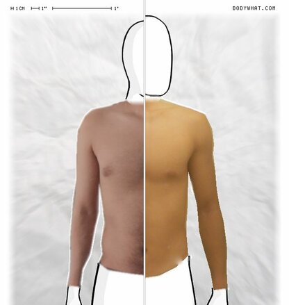 Torso Comparison