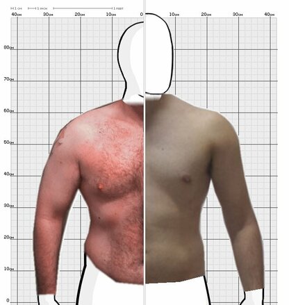Torso Comparison