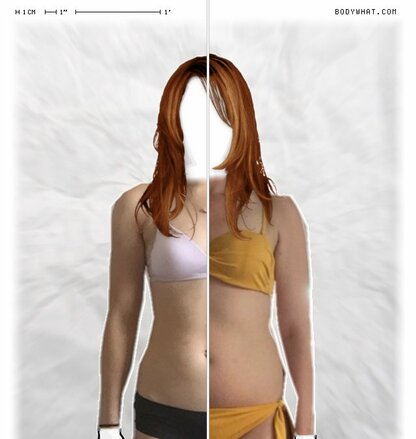 Torso Comparison