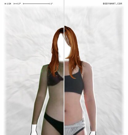 Torso Comparison