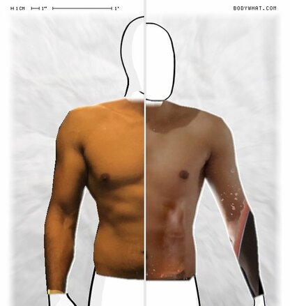 Torso Comparison