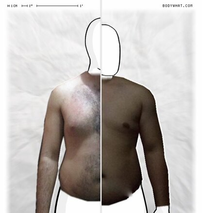 Torso Comparison