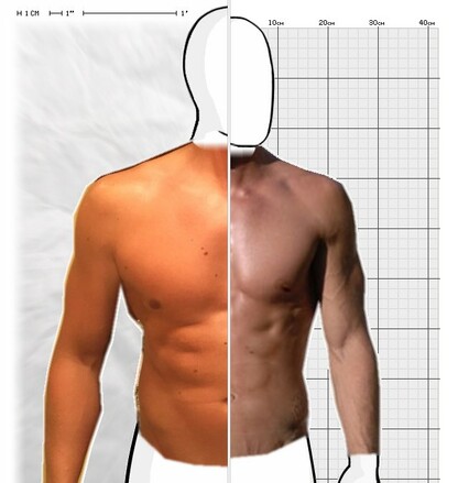 Torso Comparison
