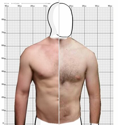 Torso Comparison