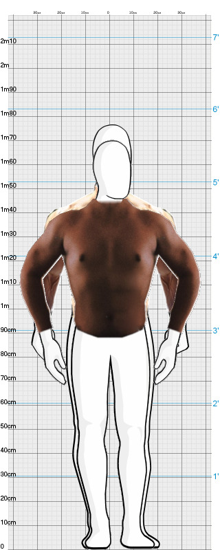 Full Size Comparison