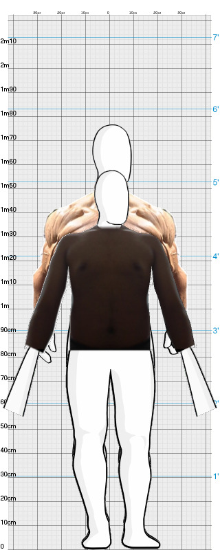 Full Size Comparison
