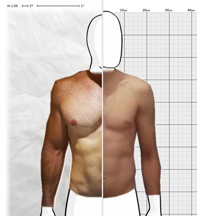 Torso Comparison