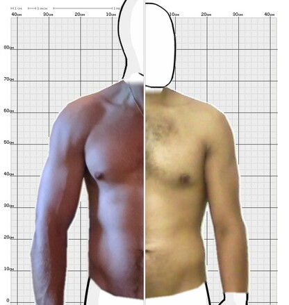 Torso Comparison