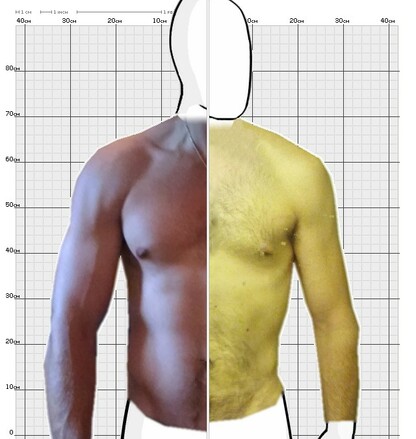 Torso Comparison