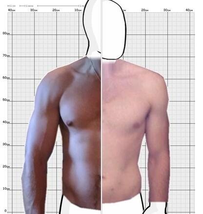 Torso Comparison