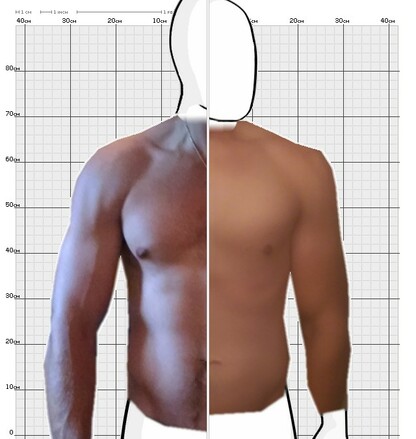 Torso Comparison