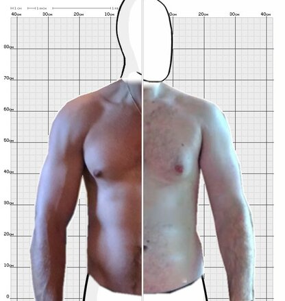 Torso Comparison