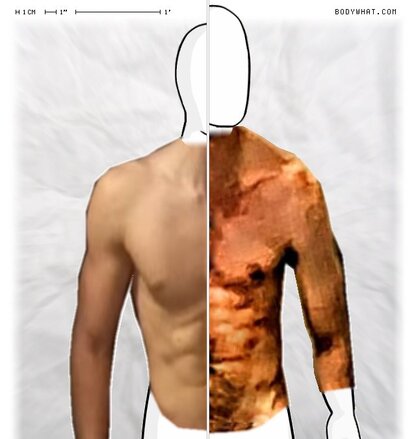 Torso Comparison