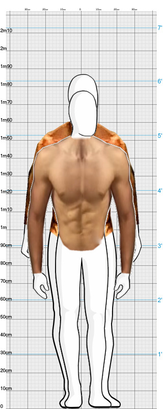 Full Size Comparison