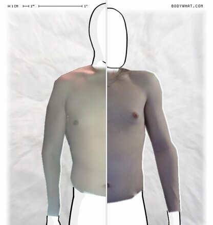 Torso Comparison