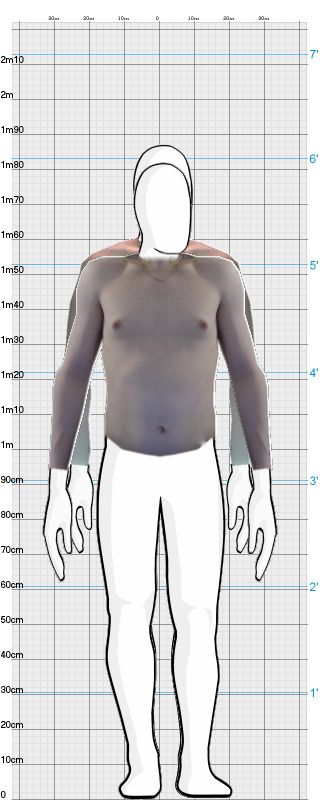 Full Size Comparison