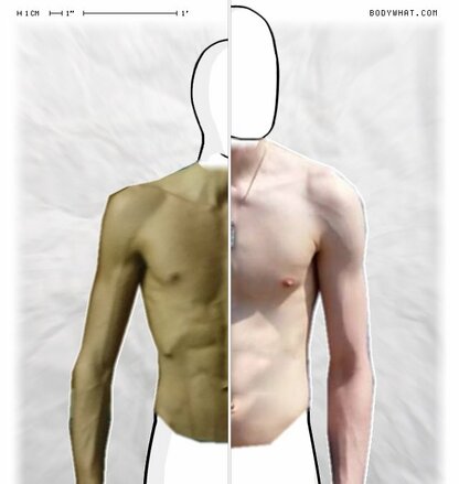 Torso Comparison