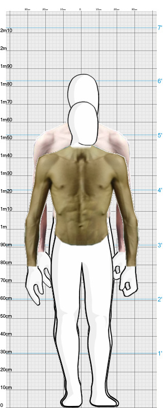 Full Size Comparison