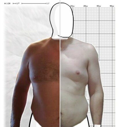 Torso Comparison