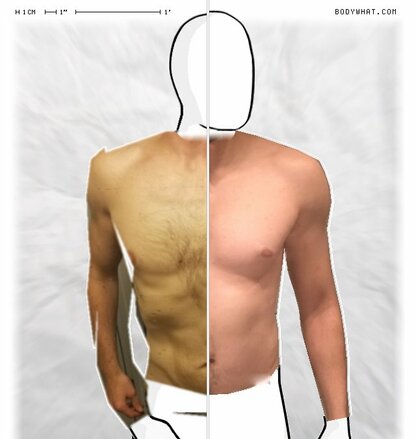 Torso Comparison