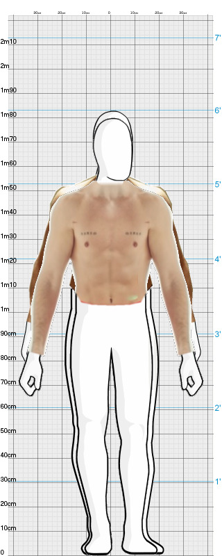 Full Size Comparison