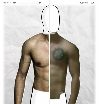 Torso Comparison