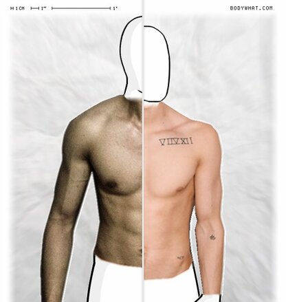 Torso Comparison