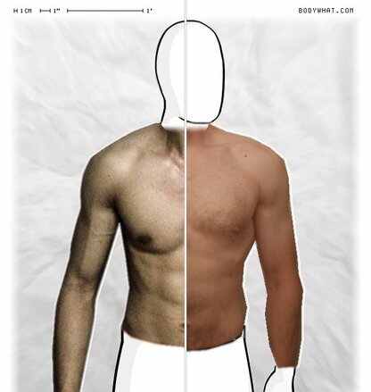 Torso Comparison