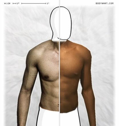 Torso Comparison