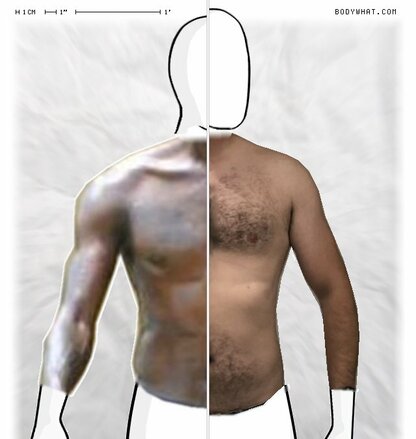 Torso Comparison