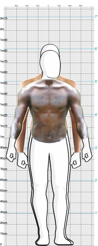 Full Size Comparison