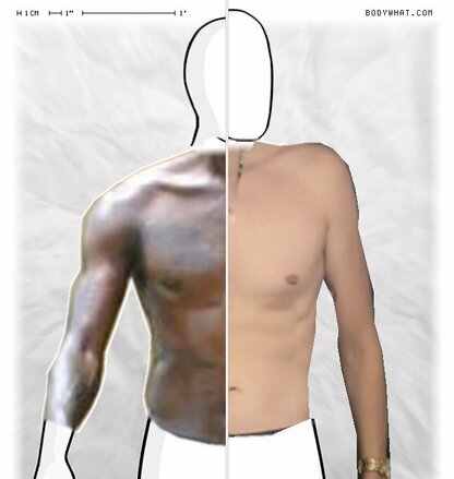 Torso Comparison