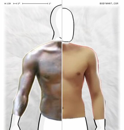 Torso Comparison