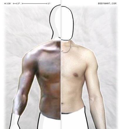Torso Comparison