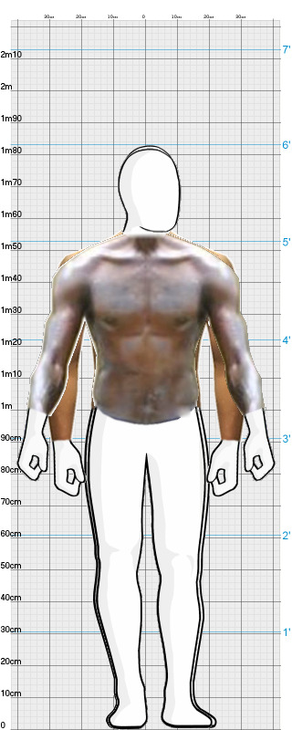 Full Size Comparison