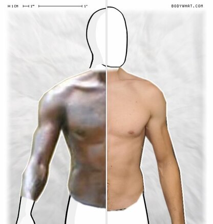 Torso Comparison