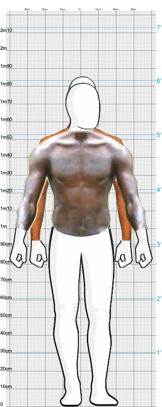 Full Size Comparison