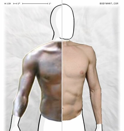 Torso Comparison