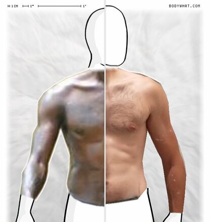 Torso Comparison