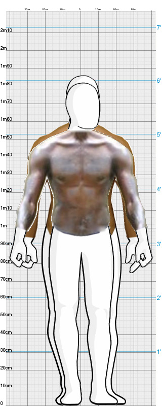 Full Size Comparison