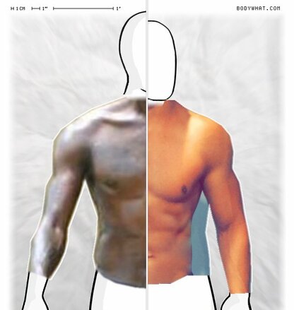 Torso Comparison