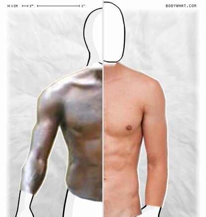 Torso Comparison