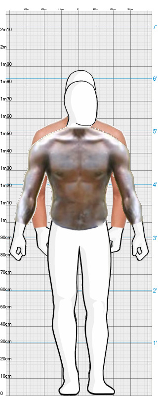 Full Size Comparison