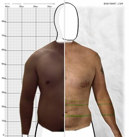 Torso Comparison