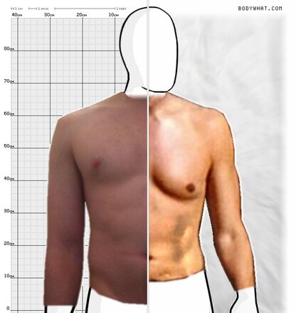 Torso Comparison